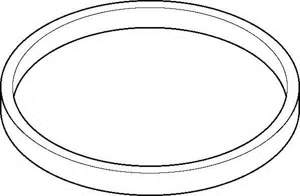 ELRING 895580 Прокладка корпус впускного колектора