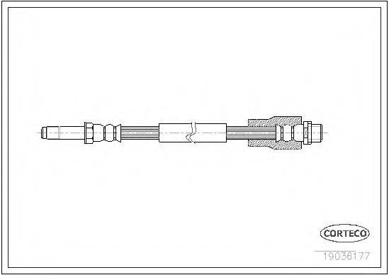 CORTECO 19036177 Гальмівний шланг