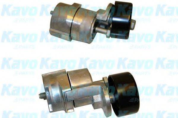 KAVO PARTS DTP3006 Натяжний ролик, полікліновий ремінь