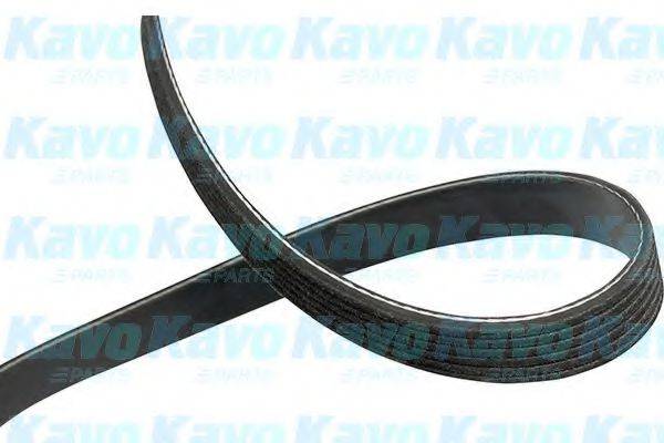 KAVO PARTS DMV1013 Полікліновий ремінь