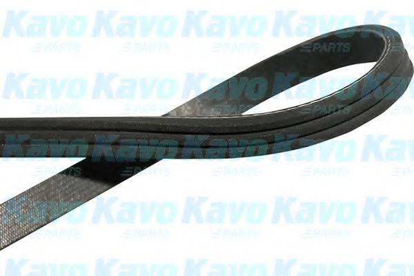 KAVO PARTS DMV1502 Полікліновий ремінь