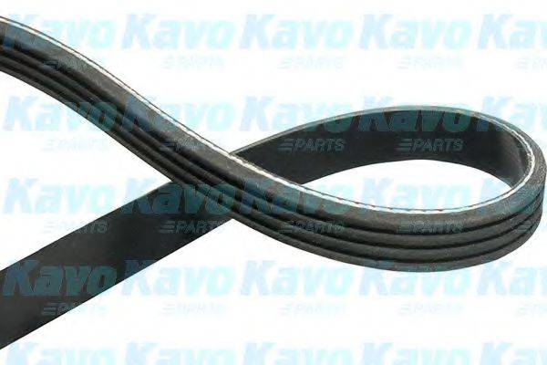 KAVO PARTS DMV1510 Полікліновий ремінь