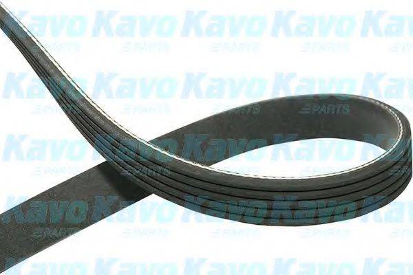 KAVO PARTS DMV2026 Полікліновий ремінь