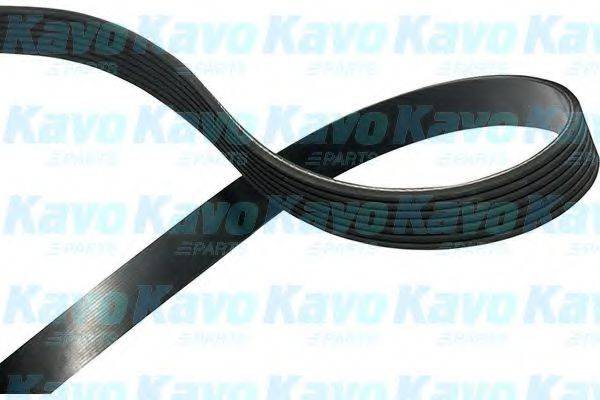 KAVO PARTS DMV2062 Полікліновий ремінь