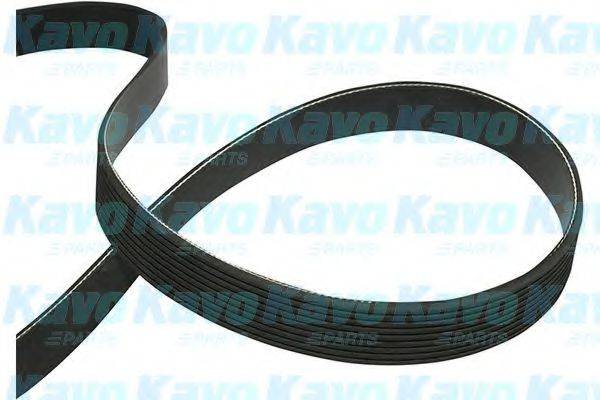 KAVO PARTS DMV9114 Полікліновий ремінь