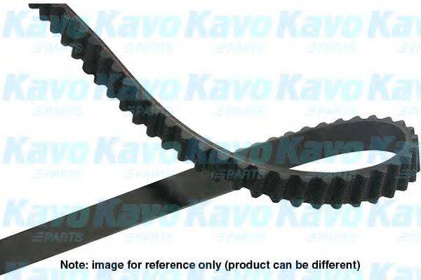 KAVO PARTS DTB5526 Ремінь ГРМ