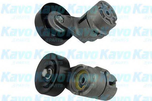 KAVO PARTS DTP3018 Натяжний ролик, полікліновий ремінь