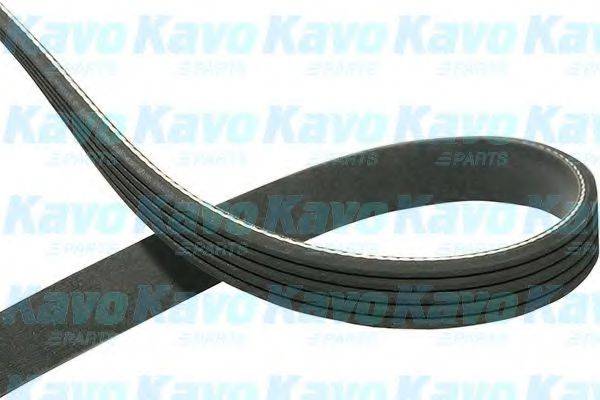 KAVO PARTS DMV4551 Полікліновий ремінь