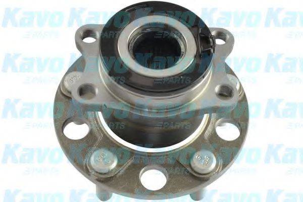 KAVO PARTS WBH5536 Комплект підшипника маточини колеса