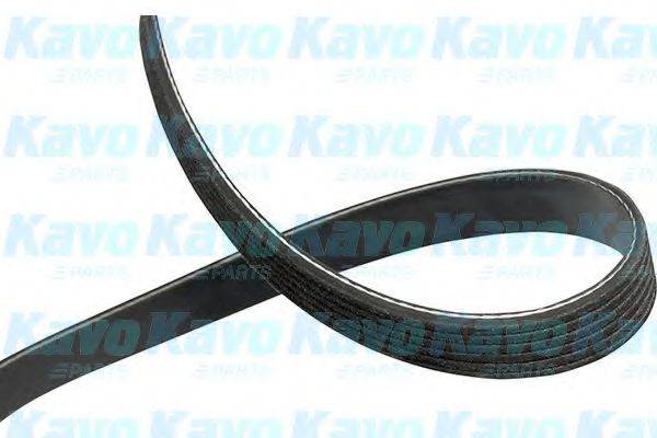 KAVO PARTS DMV3050 Полікліновий ремінь