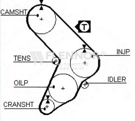 FLENNOR 4955 Ремінь ГРМ