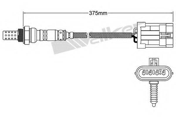 WALKER PRODUCTS 25024012 Лямбда-зонд