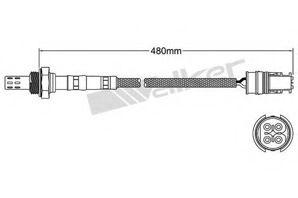 WALKER PRODUCTS 25024610 Лямбда-зонд