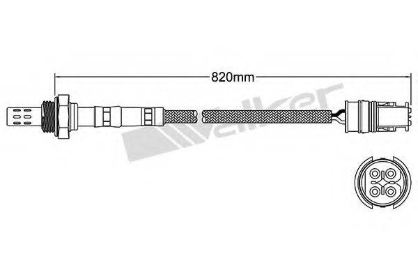 WALKER PRODUCTS 25024143 Лямбда-зонд