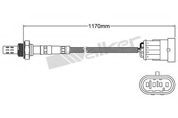 WALKER PRODUCTS 25024530 Лямбда-зонд