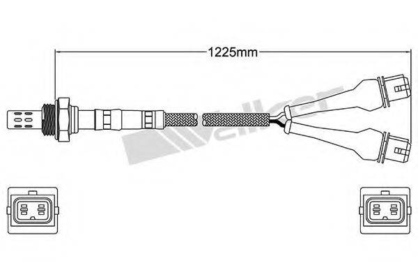 WALKER PRODUCTS 25024030 Лямбда-зонд