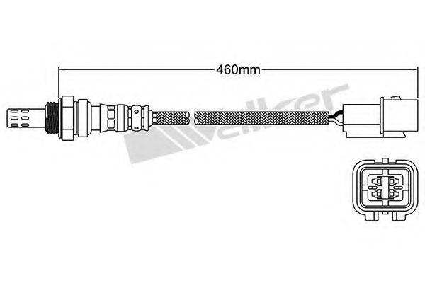 WALKER PRODUCTS 25024461 Лямбда-зонд