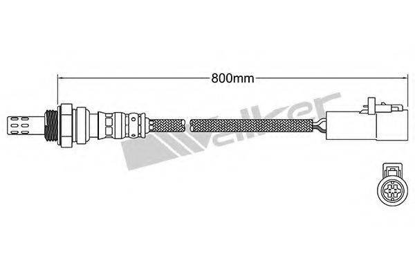 WALKER PRODUCTS 25024858 Лямбда-зонд