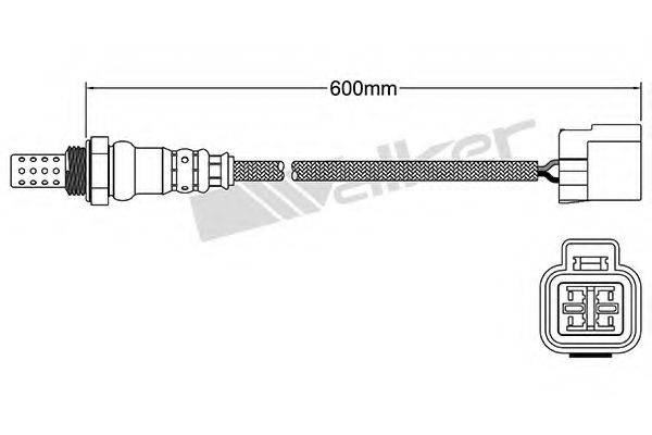 WALKER PRODUCTS 25024237 Лямбда-зонд