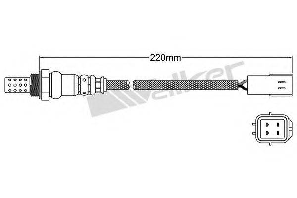 WALKER PRODUCTS 25024438 Лямбда-зонд