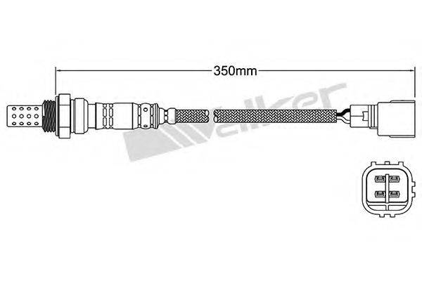 WALKER PRODUCTS 25024360 Лямбда-зонд