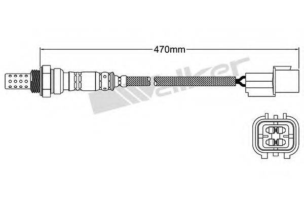 WALKER PRODUCTS 25024233 Лямбда-зонд