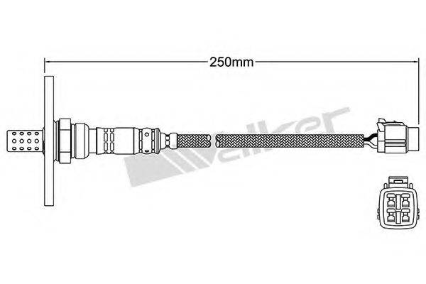 WALKER PRODUCTS 25024059 Лямбда-зонд