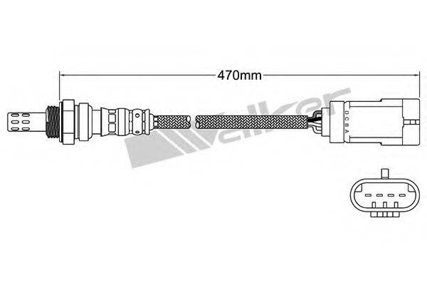 WALKER PRODUCTS 25024568 Лямбда-зонд