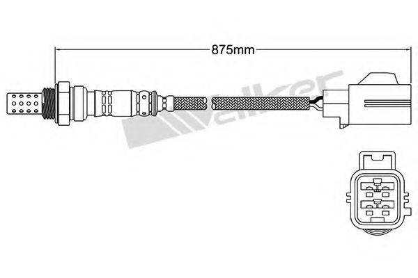 WALKER PRODUCTS 25024482 Лямбда-зонд