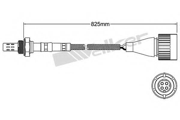 WALKER PRODUCTS 25024025 Лямбда-зонд