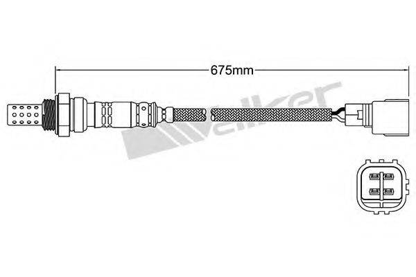 WALKER PRODUCTS 25024969 Лямбда-зонд