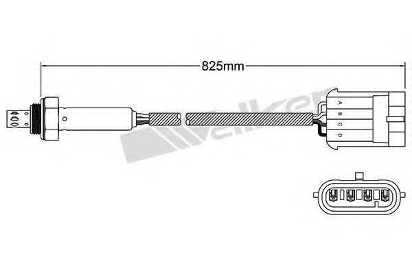 WALKER PRODUCTS 25024803 Лямбда-зонд