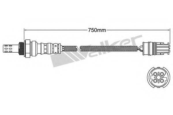 WALKER PRODUCTS 250241039 Лямбда-зонд