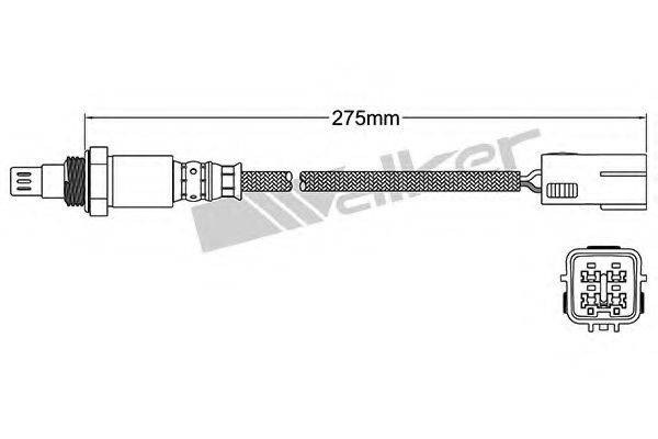 WALKER PRODUCTS 25054064 Лямбда-зонд