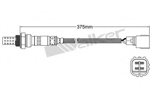 WALKER PRODUCTS 25024322 Лямбда-зонд