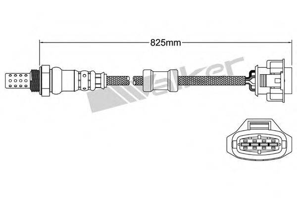 WALKER PRODUCTS 25024854 Лямбда-зонд