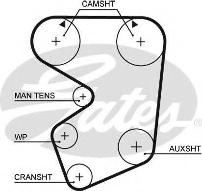 GATES 5013 Ремінь ГРМ