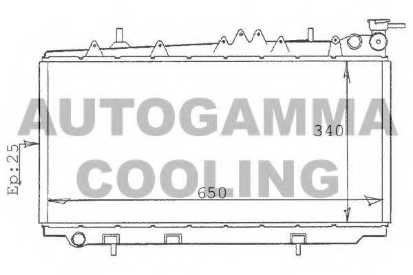 AUTOGAMMA 100629 Радіатор, охолодження двигуна