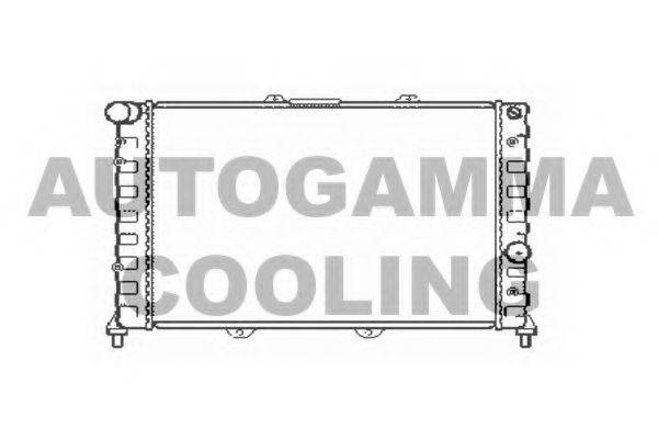 AUTOGAMMA 101145 Радіатор, охолодження двигуна
