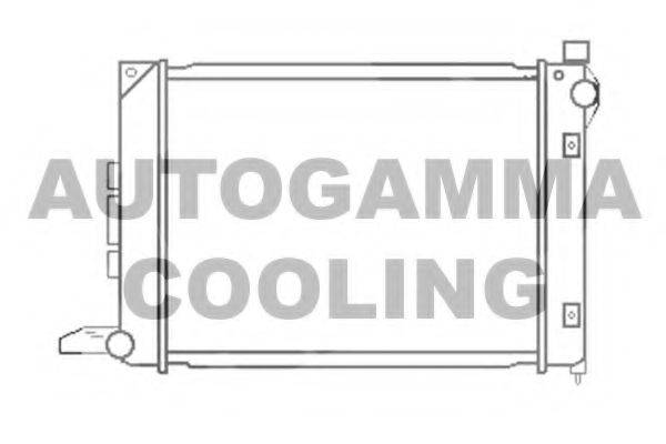 AUTOGAMMA 102939 Радіатор, охолодження двигуна