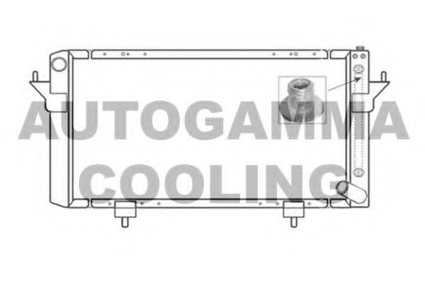 AUTOGAMMA 104666 Радіатор, охолодження двигуна