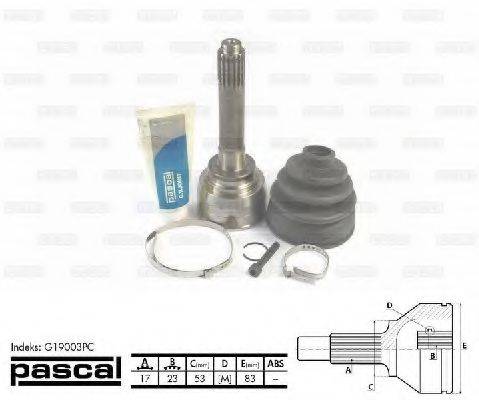 PASCAL G19003PC Шарнірний комплект, приводний вал
