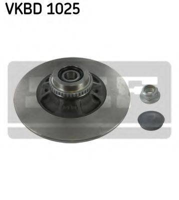 SKF VKBD1025 гальмівний диск