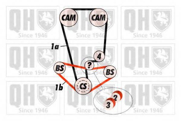 QUINTON HAZELL QBK489 Комплект ременя ГРМ