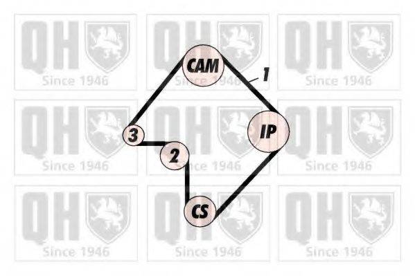 QUINTON HAZELL QBK501 Комплект ременя ГРМ