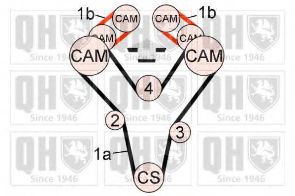 QUINTON HAZELL QBK616 Комплект ременя ГРМ