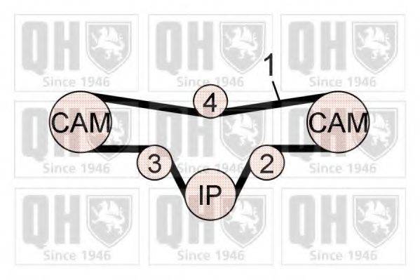 QUINTON HAZELL QBK686 Комплект ременя ГРМ
